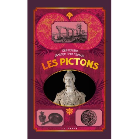 Livre - Les Pictons